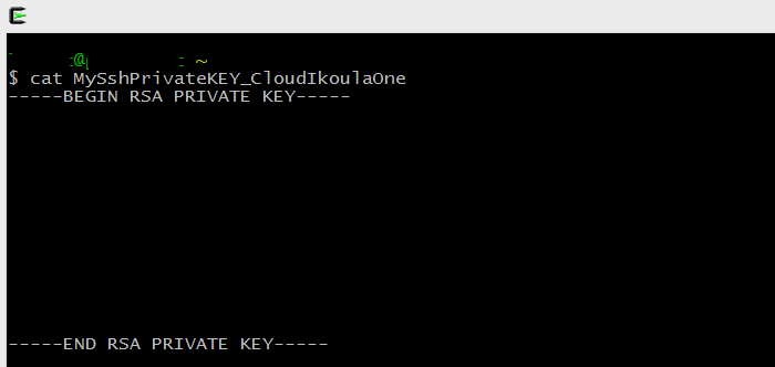 Bicleessh 05 cygwin.png