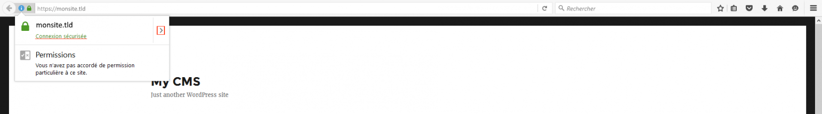 Kbwordpressletsencrypt-04-connexionsecurisée2.png