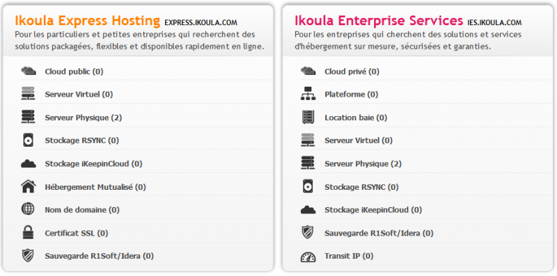 ملف:Netdiag Selection Serveur Physique.png